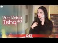 Yeh Kaisa Ishq Hai OST | Turkish Drama | Nabeel Shaukat | Cherry Season