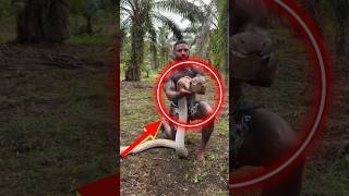 Você Teria Coragem De Segurar Essa Naja?