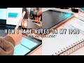 How I Take Notes On My iPad *ONLINE COLLEGE* | GoodNotes 5 & Paperlike