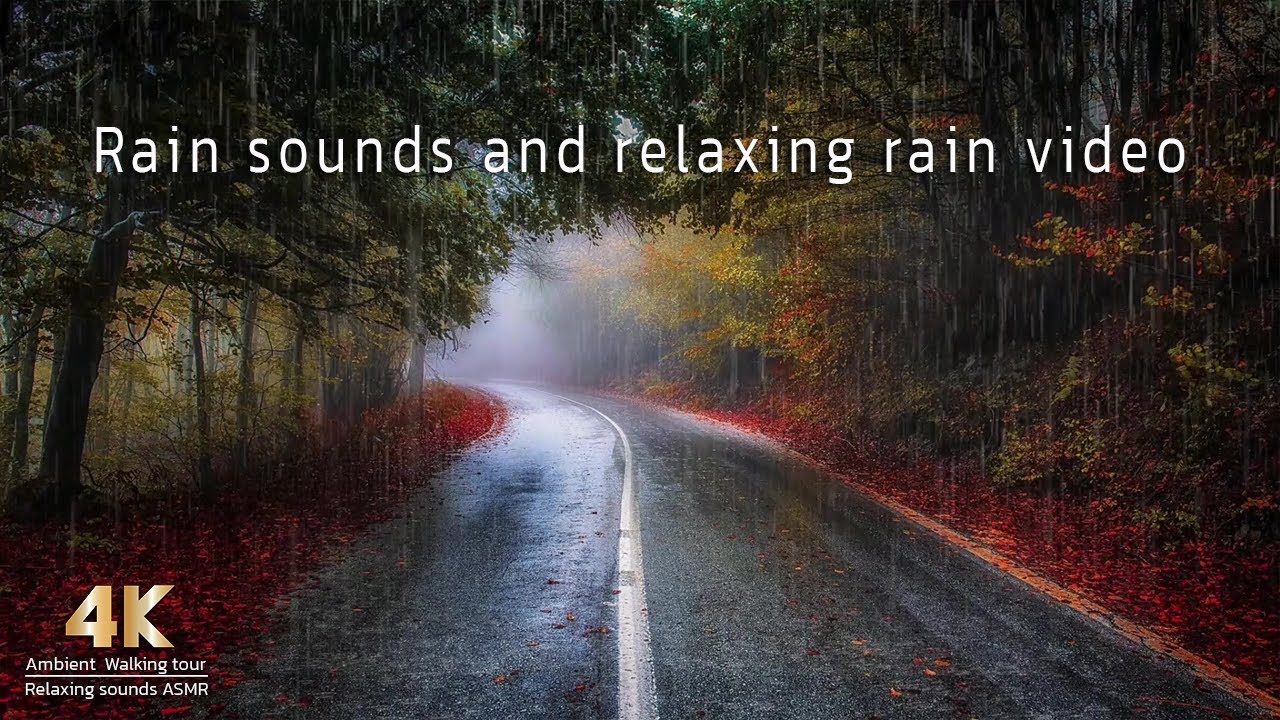 Rain and relaxing video the rain sounds, ASMR ambience - YouTube