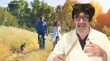 Comment décrypter une image par le Prof Bernard