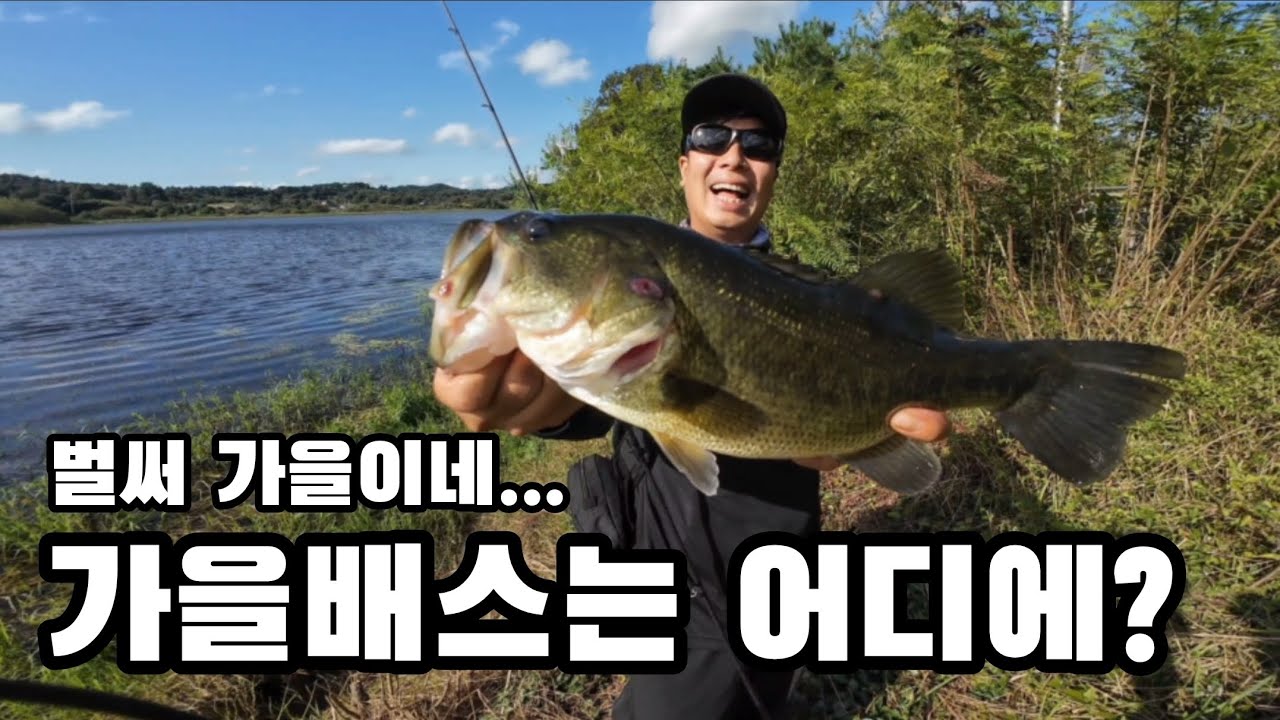 가을배스를 잡으러 가보자!!! 커버 속에 숨어잇는 배스들!!
