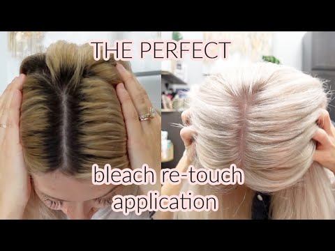 20 PRO TIPS For The PERFECT Platinum Re-touch // Wholy Hair