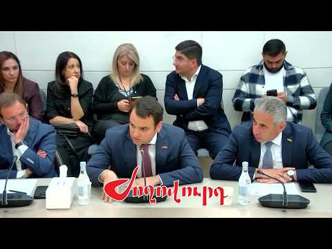 Մարդկանց մոտ պանիկա կա Շաքիի դեպքից հետո. Կարապետյանը առաջարկեց հանձնաժողով ստեղծել