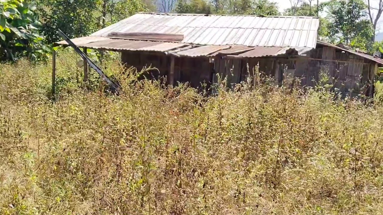 กระต๊อบที่ไร่ปล่อยร้างมา3ปี