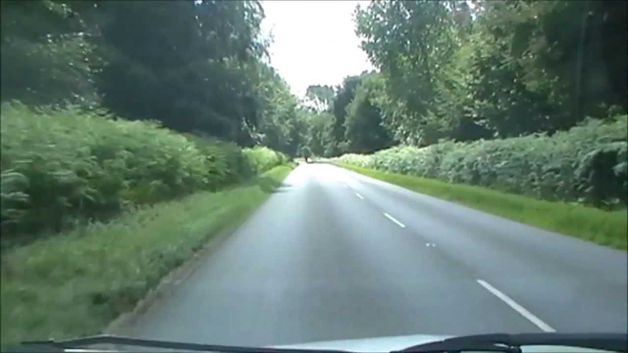 A Drive Through Part of Thetford Forest Norfolk 11 August 2013 YouTube