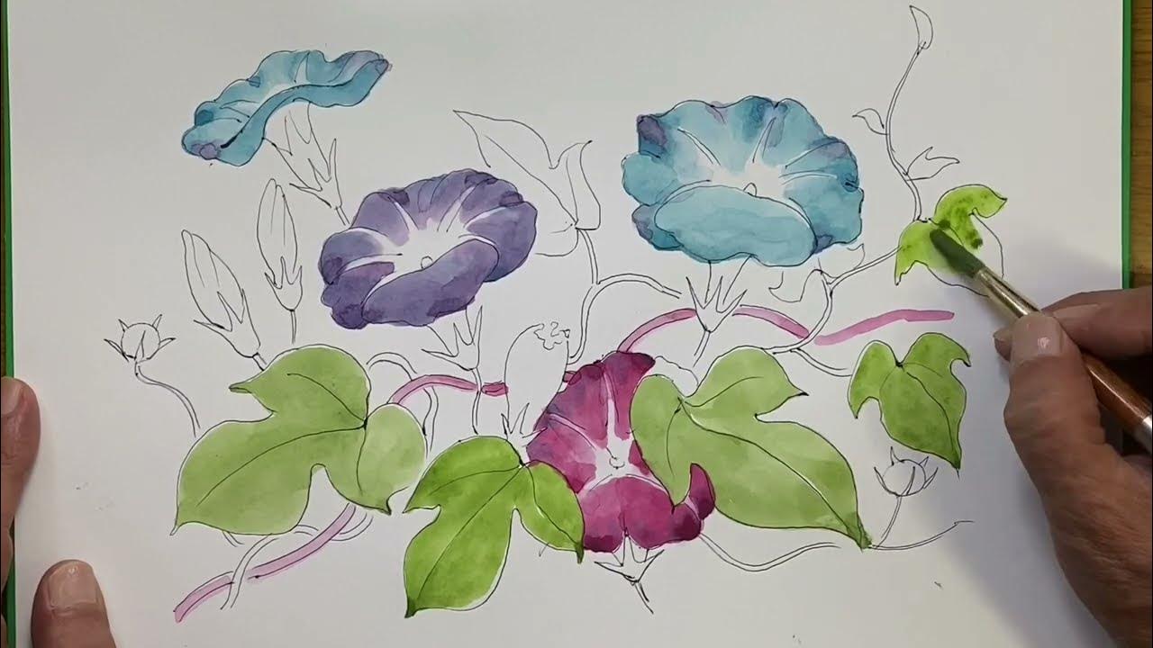 朝顔の描き方 解説 How To Draw A Morning Glory Youtube