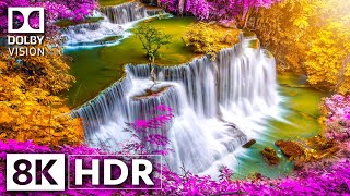 Hidden Wonders Of Earth | Dolby Vision™ Hdr 8K (240 Fps)