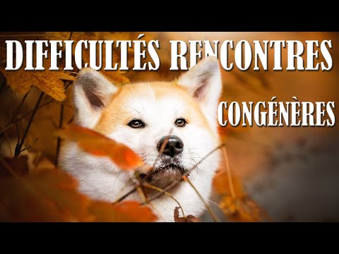 TEMOIGNAGE MAKOTO : CHANGEMENT DE COMPORTEMENT ENVERS SES CONGÉNÈRES