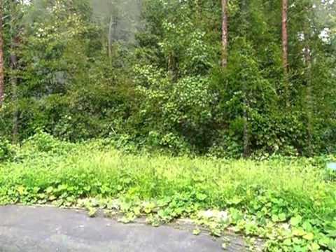 404 Longhorn Dr, Rock Hill, SC home video tour
