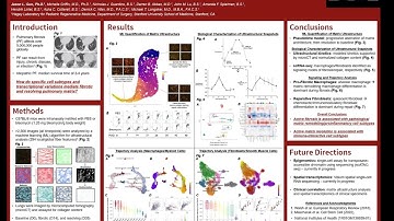 Multi-Modal Analysis of Cell Populations and Architectural States Mediating the Progression...