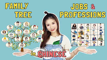 Let's Learn Chinese Family Tree / Jobs & Occupations in 20 minutes!