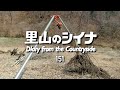田舎暮らし 151:耕作放棄田んぼの再生