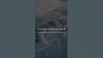 Surah Al-Maidah 104  سورة المائدة #quraniv #quran