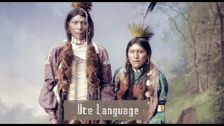 UTE LANGUAGE Wealth