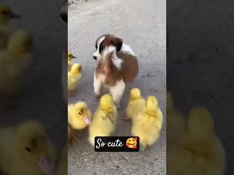 amazing video thumbnail