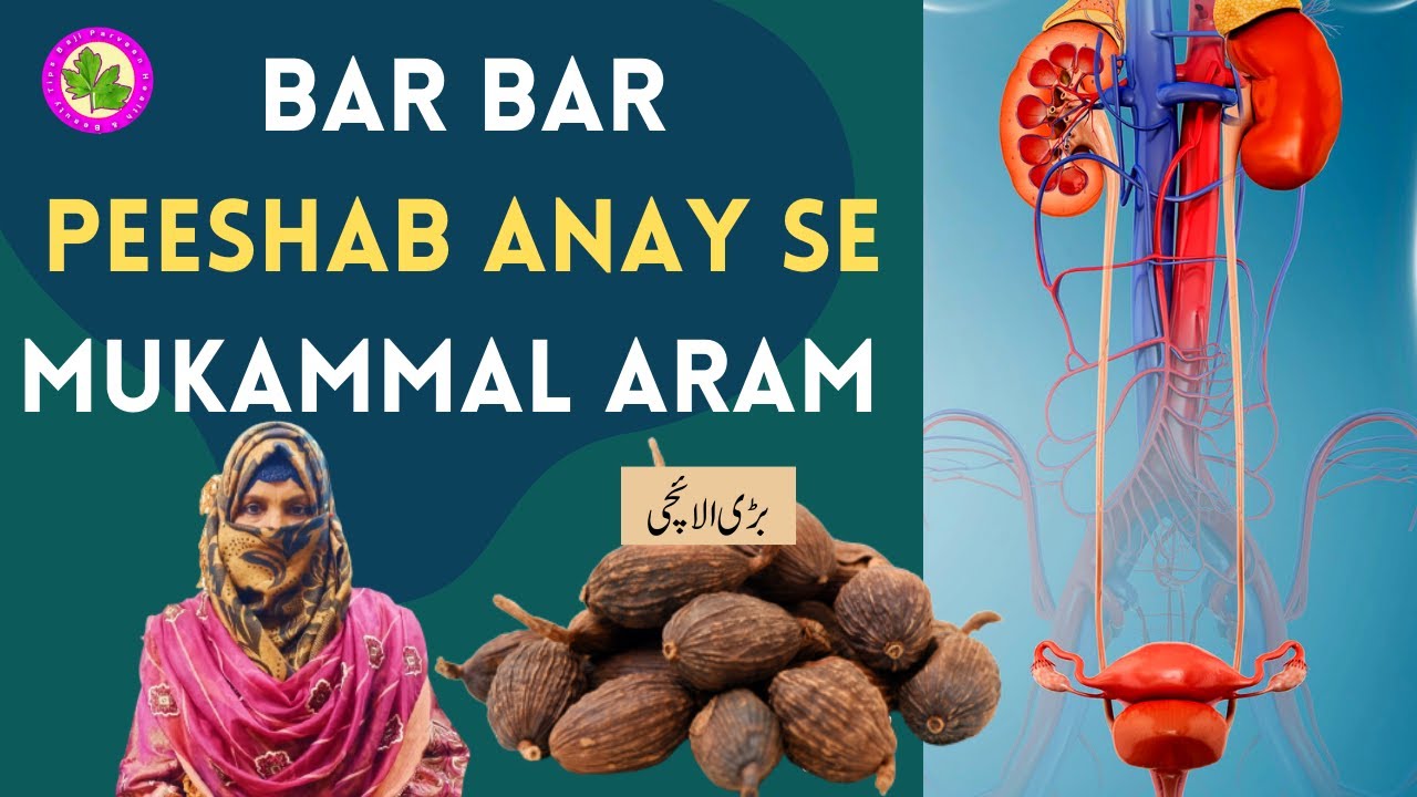 Herbal Treatment For Urinary Incontinence Raat Ko Dair Se Bar Bar