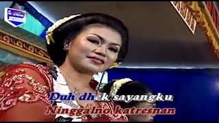 Download Lagu Mandul adilaras MP3
