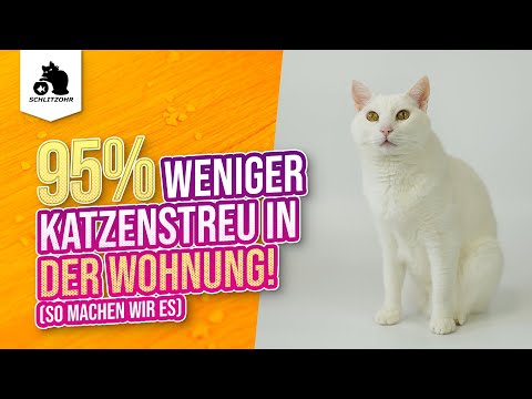 Video: Meine Katze ist anerkannt: Die beste natürliche Katzenstreumarke