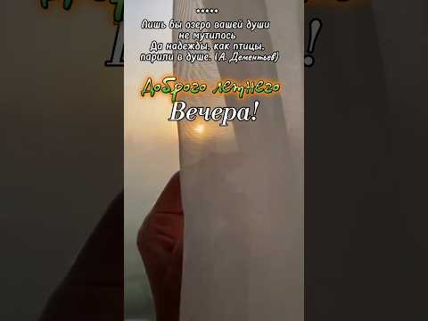 Добрый вечер! В монтаже ролика испл. видео Е. Шумиловой. #shorts # 16 июня.