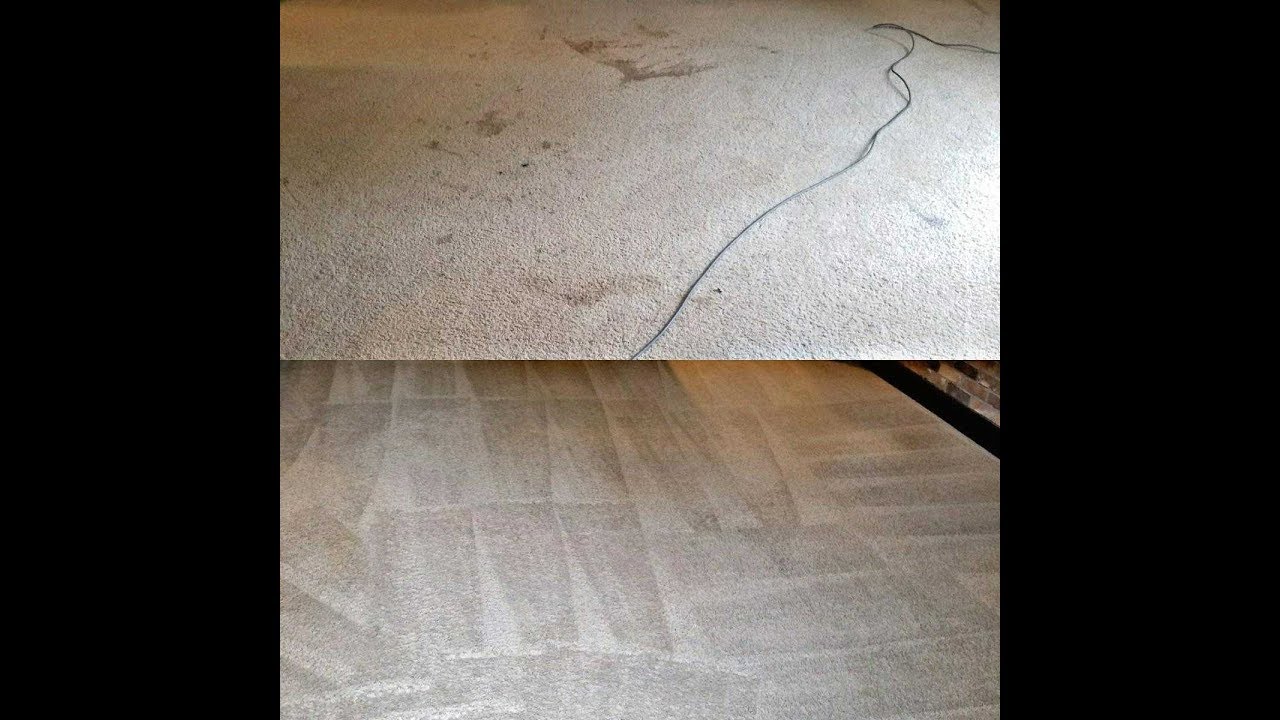 Steam Cleaning Carpet Is is Worth It? Before / After Video YouTube