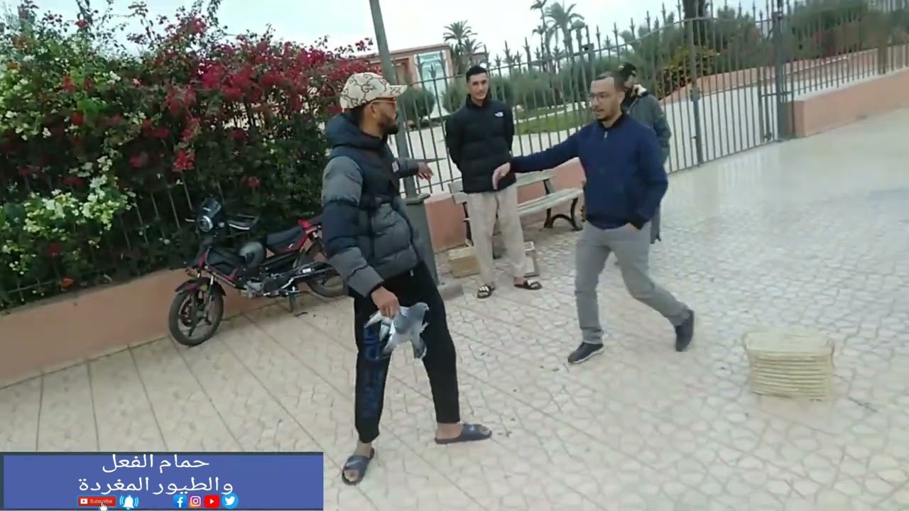 مطلق حبي فمتحف الماء الله يسخر للإخوان