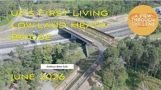The Cockcrow Living Heathland Bridge Is Alive: A Thriving New Landscape in Wisley