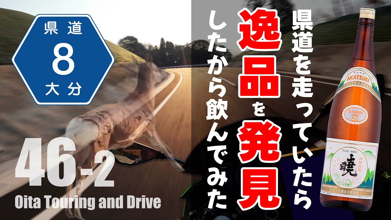 【モトブログ】【大分・熊本・宮崎県道8号】完全走破してきたの巻【後編】Japanese motovlog.