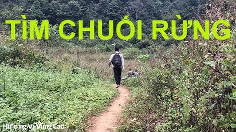 Hành Trình Tìm Chuối Rừng.Màn Đào Dúi Và Cái Kết.... BẢN MÔNG - Tập 3