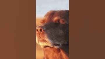 200 IQ PLAY BY TEAMMATE