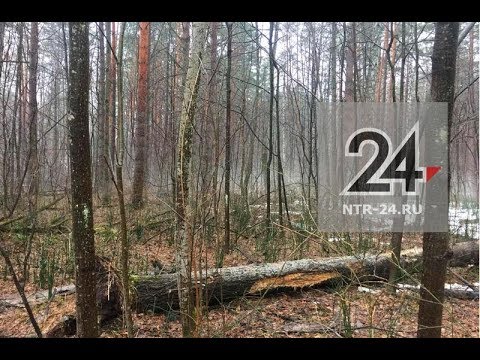 В Нижнекамске пропавшую