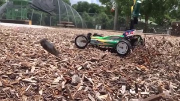 Tamiya DT02 Desert Gator