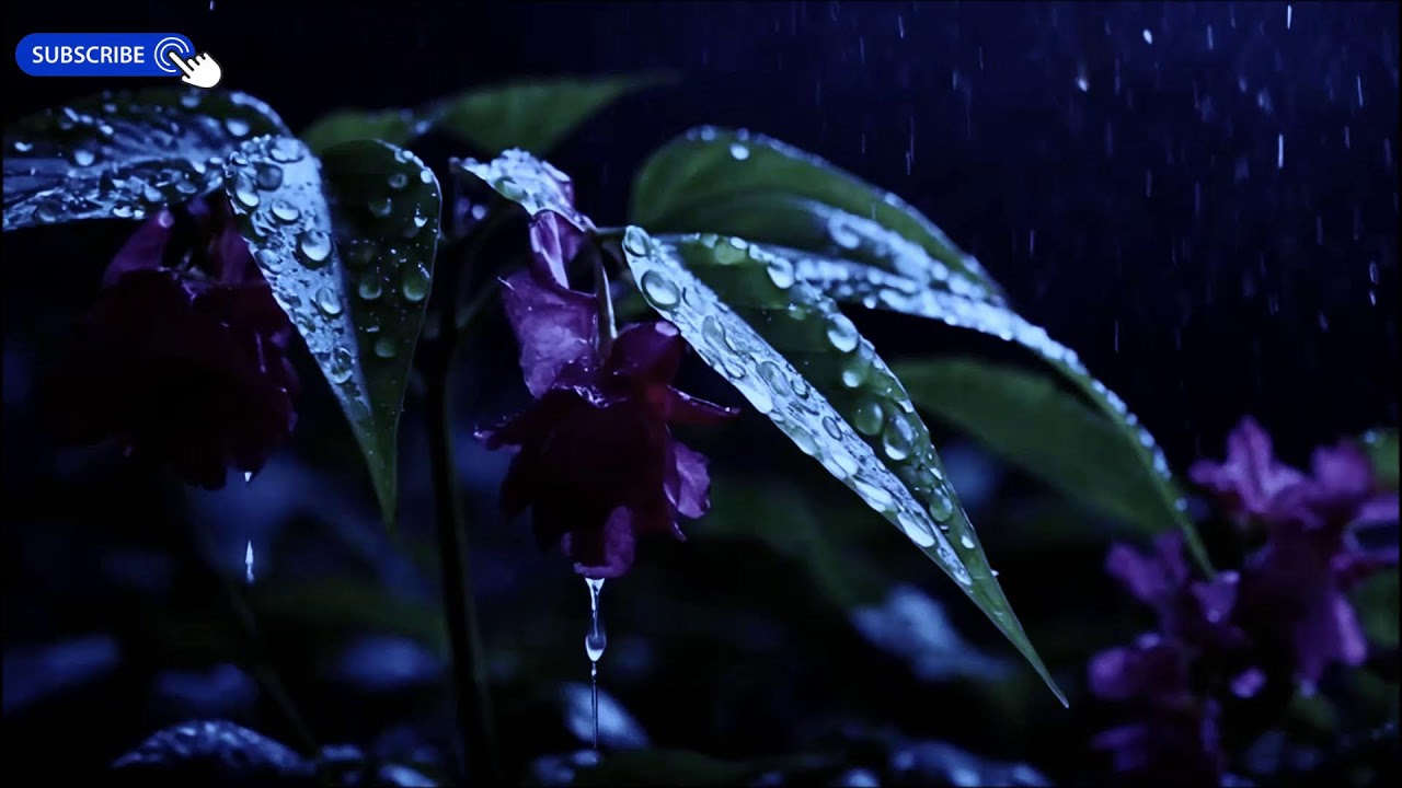 Deepest Relaxation 🌌 Healing Piano Music & Forest Rain for Sleep