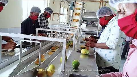 Mango Pulp Processing Line-Suitable for Mango, Tomato, Crusted apple, Guva, Banana, Etc,.