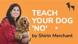 How to Teach Your Dog 'No' I Learn With HUFT I Shirin Merchant