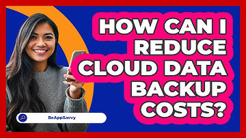 How Can I Reduce Cloud Data Backup Costs? - Be App Savvy