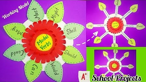 Working Model on Verbs | English Grammar || Verb Model Project || Modal Verbs ,TLM
