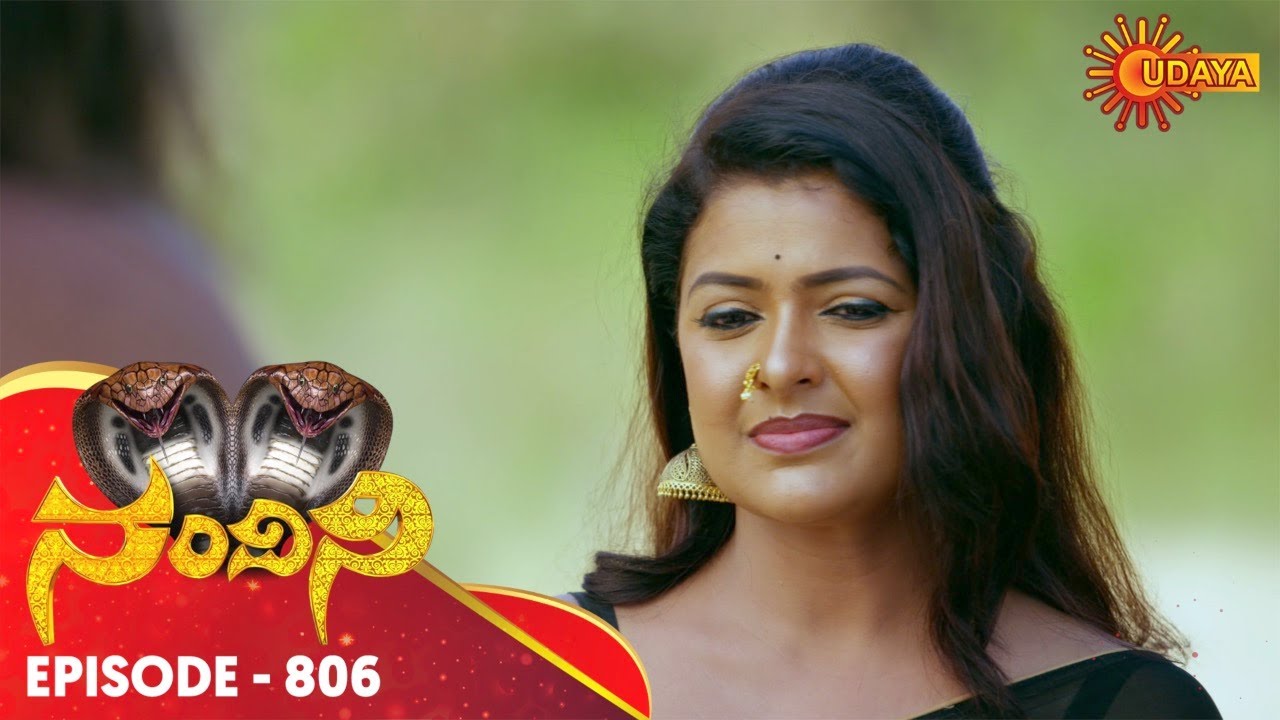 Nandini - Episode 806 | 28th Nov 19 | Udaya TV Serial | Kannada Serial