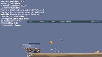 Transformice and balls.