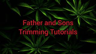 Father and Sons Trimming Tutorials Live Stream