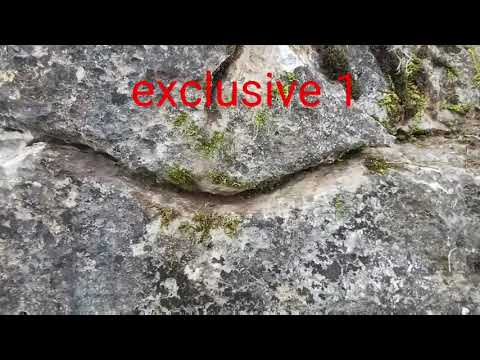 خبير فى تحليل الاشارات Archeology Professor ران تكنيز موقع اثري اشاره المغامر الكنوز الذهب الملكي 