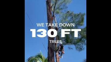 Rope Access Capabilities are Endless with TechCorr