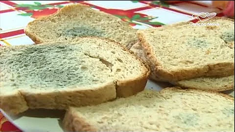 O que provoca mofo nos alimentos?