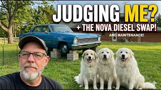 Break from the Nova: Log Cabin Maintenance, Saving a 6.7 PowerStroke, &amp; 1932 Rat Rod Dreams