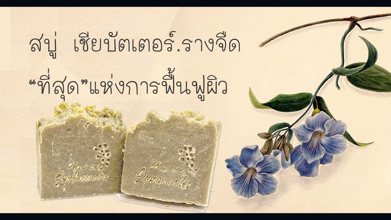 การทำสบู่ เชียบัตเตอร์ รางจืด ที่สุดของสบู่ฟื้นฟูผิว
