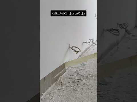 هل تؤيد عمل النعلة المخفية