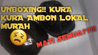 UNBOXING!!! AMBON KURA KURA LOKAL MURAH | Mati Semua??!!!
