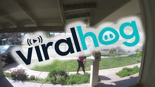 Package Thief Steals Staged Amazon Package Full of Bricks || ViralHog