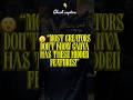 😮 “Most creators don’t know Canva has these hidden features!” #shortsvideo #designhacks