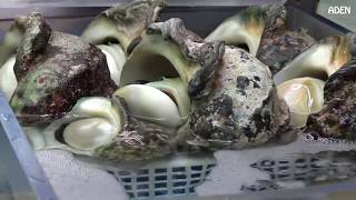 Okinawa, Japonya'da deniz ürünleri